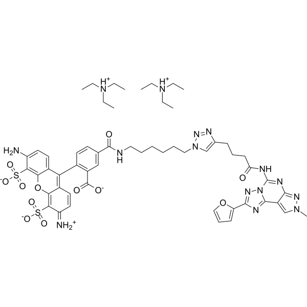 A2A/A3 AR antagonist-1
